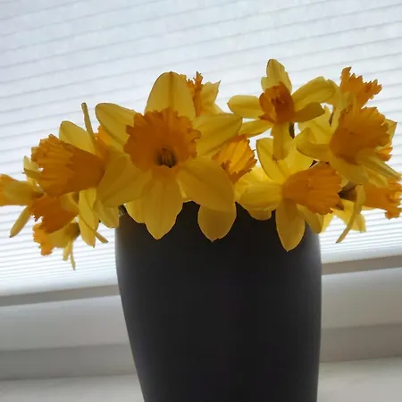 Apartament Ruheoase Waldblick *