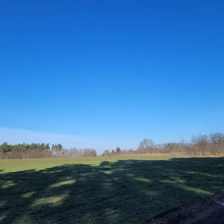 Ruheoase Waldblick Appartement *