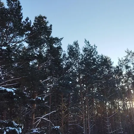 Daire Ruheoase Waldblick *