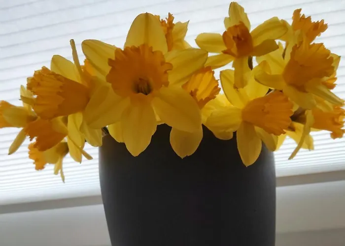 Apartament Ruheoase Waldblick *