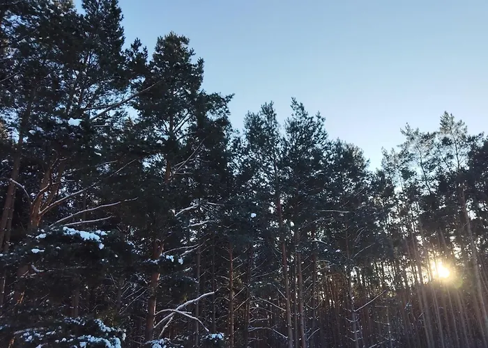 Apartament Ruheoase Waldblick *